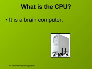 What is the CPU? It is a brain computer. 
