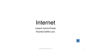Internet
Joaquín García Pineda
Ricardo Cedillo Luna
García Pineda, Cedillo Luna 1
 