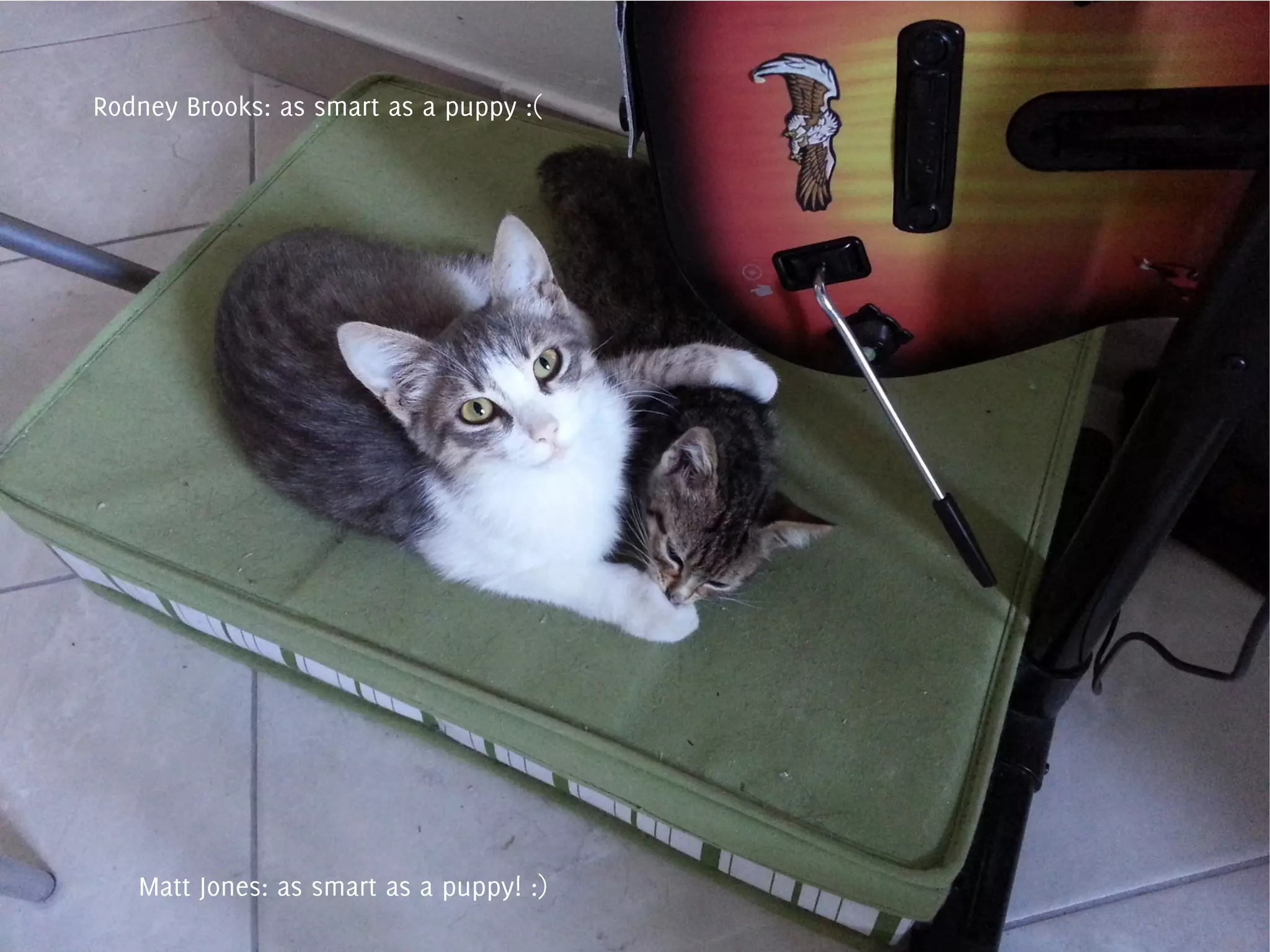 Rodney Brooks: as smart as a puppy :(

Matt Jones: as smart as a puppy! :)

 