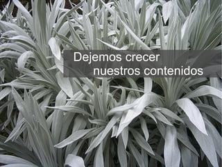 Dejemos crecer  nuestros contenidos 