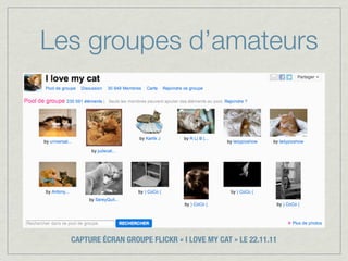 Les groupes d’amateurs




  CAPTURE ÉCRAN GROUPE FLICKR « I LOVE MY CAT » LE 22.11.11
 
