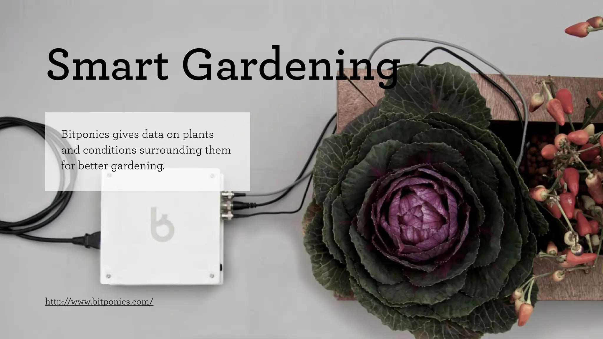 Smart Gardening 
Bitponics gives data on plants 
and conditions surrounding them 
for better gardening. 
http://www.bitponics.com/ 
 