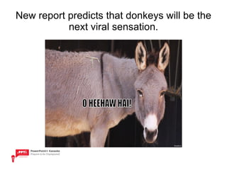 New report predicts that donkeys will be the next viral sensation. 