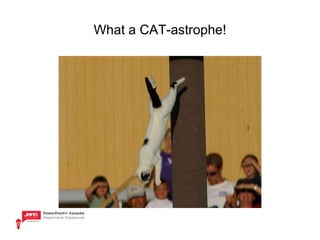 What a CAT-astrophe! 