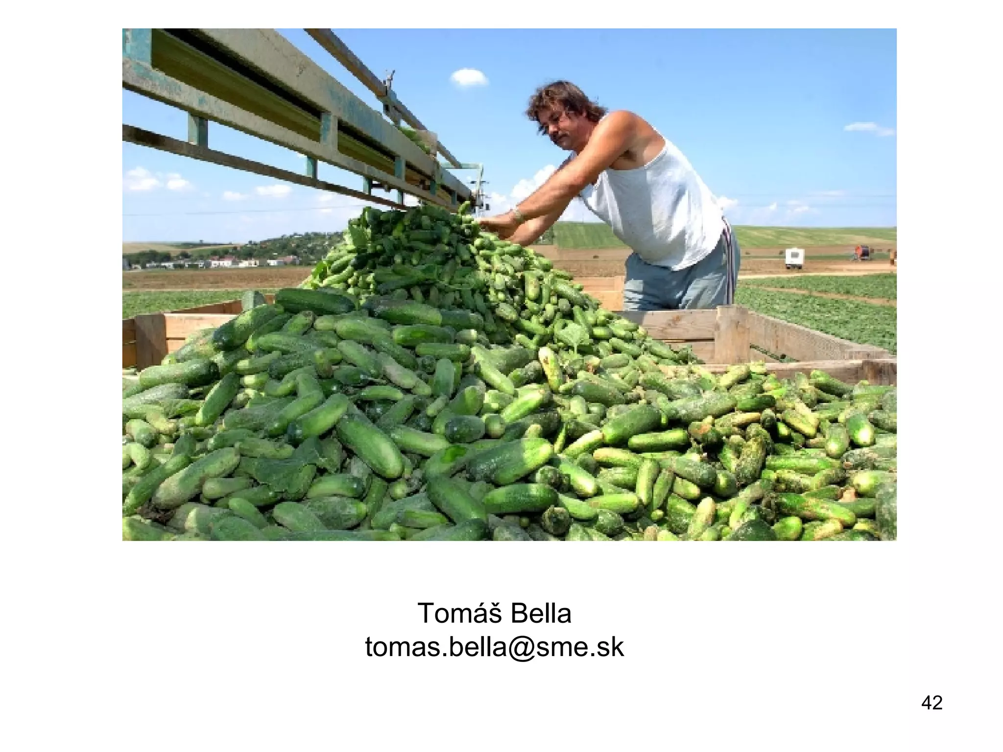 Tomáš Bella [email_address] 