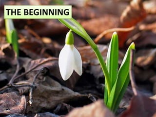 THE BEGINNING