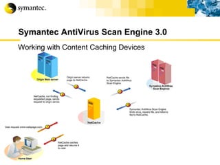 Symantec AntiVirus Scan Engine 3.0 Working with Content Caching Devices 