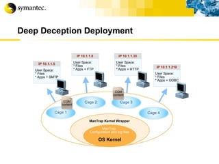 Deep Deception Deployment 