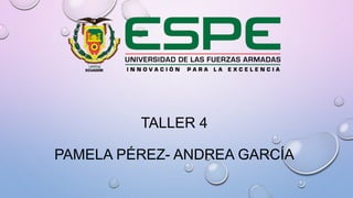 TALLER 4
PAMELA PÉREZ- ANDREA GARCÍA
 