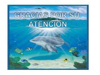GRACIAS POR SU ATENCION