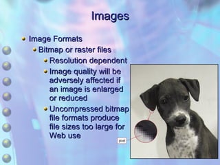Images Image Formats Bitmap or raster files Resolution dependent Image quality will be  adversely affected if  an image is enlarged  or reduced Uncompressed bitmap  file formats produce  file sizes too large for  Web use 