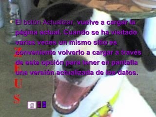 El botón Actualizar,  vuelve a cargar la  página actual. Cuando se ha visitado  varias veces un mismo sitio es  conveniente volverlo a cargar a través  de esta opción para tener en pantalla  una versión actualizada de los datos. 