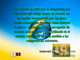 Fue creado en 1995 tras la adquisición por Microsoft del código fuente de Mosaic, un  navegador desarrollado por Spyglass,  siendo rebautizado entonces como Internet  Explorer. Actualmente es el navegador de  internet más popular y más utilizado en el  mundo, rebasando en gran medida a las  competencias existentes . 