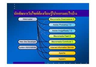 นักพัฒนาเว็บไซตตองเรียนรูโปรแกรมอะไรบาง
 