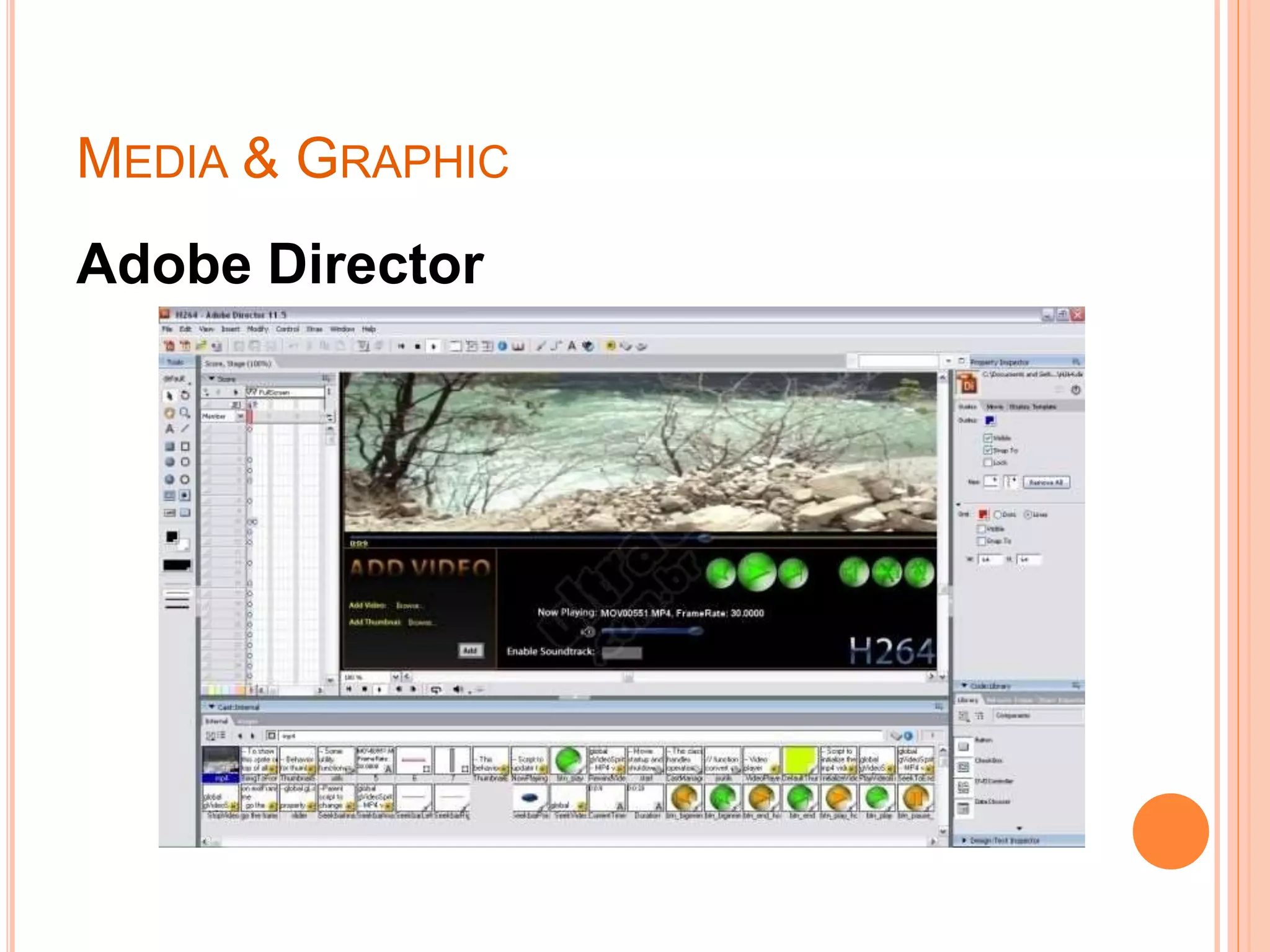 MEDIA & GRAPHIC
Adobe Director
 