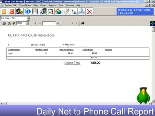 Daily Net to Phone Call Report 