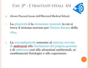 CAP. 2° - I TRACCIATI VITALI 4/4

    Alvaro Pascual-Leone dell’Harvard Medical School:


1.   La plasticità è la situazi...