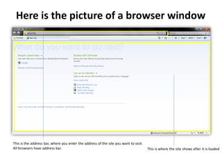 Here is the picture of a browser window




This is the address bar, where you enter the address of the site you want to visit.
All browsers have address bar.                                                        This is where the site shows after it is loaded
 