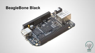 BeagleBone Black
 