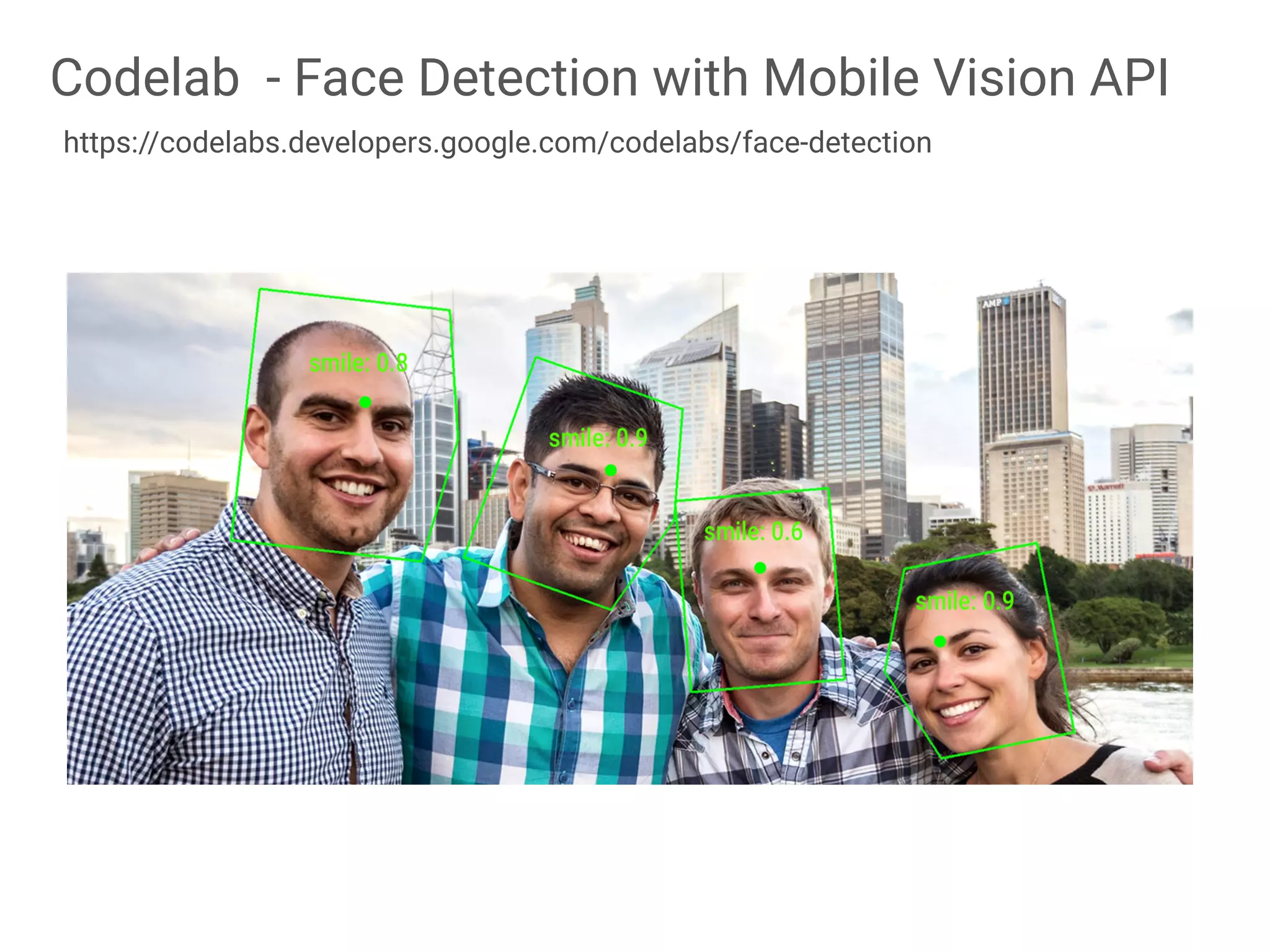 Codelab - Face Detection with Mobile Vision API
https://codelabs.developers.google.com/codelabs/face-detection
 