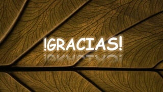 DERECHOS FUNDAMENTALES EN INTERNET