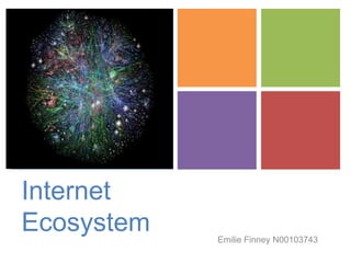 +

Internet
Ecosystem

Emilie Finney N00103743

 
