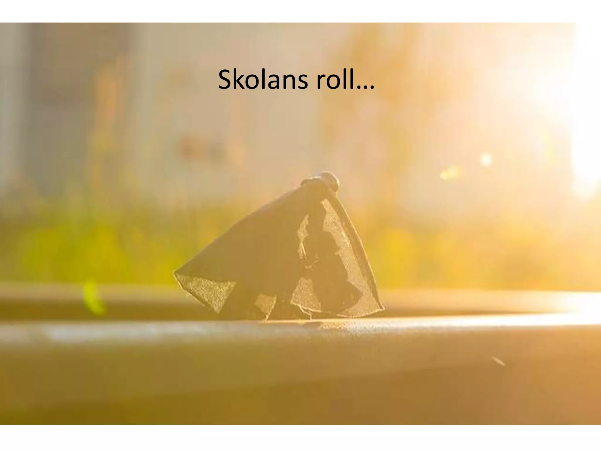 Skolans roll…

 