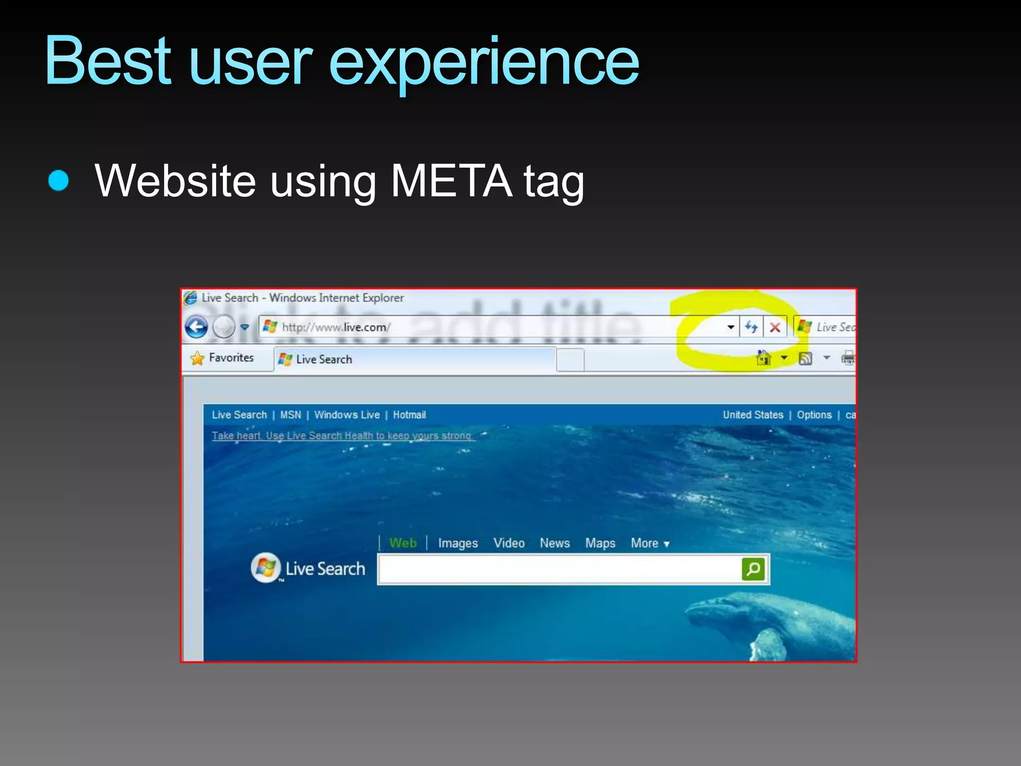 Internet Explorer 8 Developer Overview