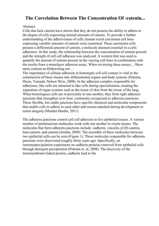 The Correlation Between The Concentration Of -catenin...
Abstract.
Cells that lack catenin have shown that they do not possess the ability to adhere to
the degree of cells expressing normal amounts of catenin. To provide a further
understanding of the adhesiveness of cells, human rectal carcinoma cell lines
expressing variable amounts of catenin were examined. These carcinoma cells
possess a differential amount of catenin, a molecule deemed essential in a cells
adherence. In this study, the relationship between the concentration of catenin present
and the strength of cell cell adhesion was analyzed. A western blot was used to
quantify the amount of catenin present in the varying cell lines in combination with
the results from a monolayer adhesion assay. When reviewing these assays ... Show
more content on Helpwriting.net ...
The importance of cellular adhesion in homotypic cell cell contact is vital in the
construction of basic tissues into differentiated organs and body systems (Pokutta,
Drees, Yamada, Nelson Weis, 2008). In the adhesion complex responsible for
adherence, like cells are attracted to like cells during specialization, creating the
separation of organ systems such as the tissue of skin from the tissue of the lung.
When homologous cells are in proximity to one another, they form tight adhesion
junctions that strengthen over time, commonly recognized as adherens junctions.
These flexible, but stable junctions have specific chemical and molecular components
that enable cells to adhere to each other and remain attached during development to
retain integrity (Maiden Hardin, 2011).
The adherens junctions control cell cell adhesion in live epithelial tissues. A various
number of proteinacious molecules work with one another to create tissues. The
molecules that form adherens junctions include: cadherin, vinculin, p120 catenin,
beta catenin, and catenin (Jordan, 2008). The assembly of these molecules between
two epithelial cells can be seen (Figure 1). These molecules responsible for adherens
junctions were discovered roughly thirty years ago. Specifically, an
immunoprecipitation experiment on cadherin proteins removed from epithelial cells
through detergent precipitation (Pokutta et. al, 2008). The discovery of the
transmembrane linked protein, cadherin lead to the
 