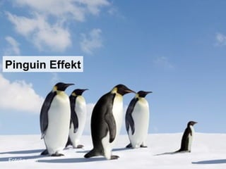 Pinguin Effekt Fotolia.com 