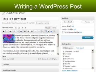 Writing a WordPress Post 
