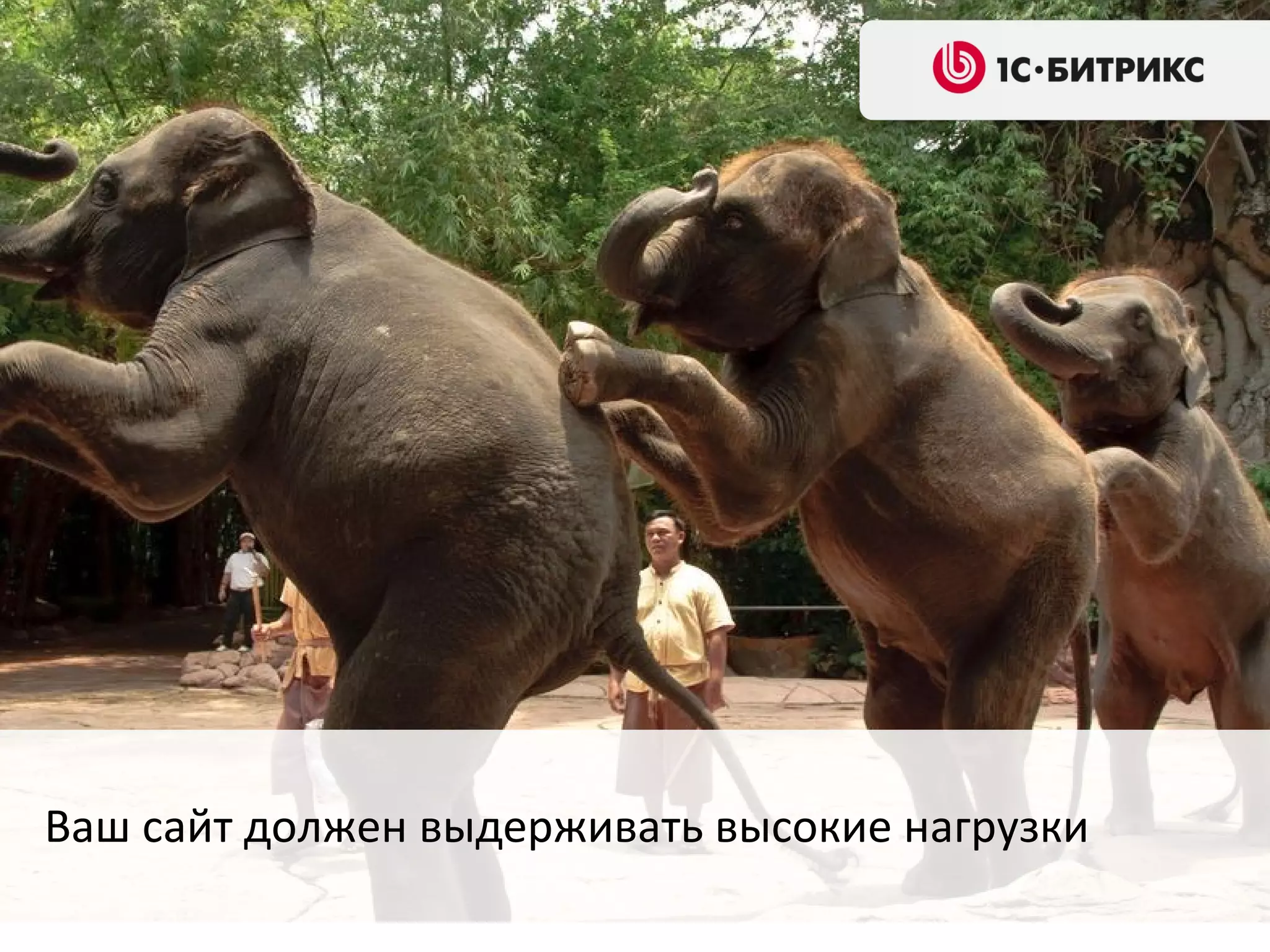 Ваш сайт должен выдерживать высокие нагрузки
 