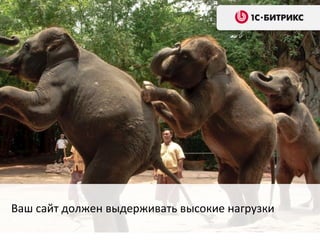 Ваш сайт должен выдерживать высокие нагрузки
 
