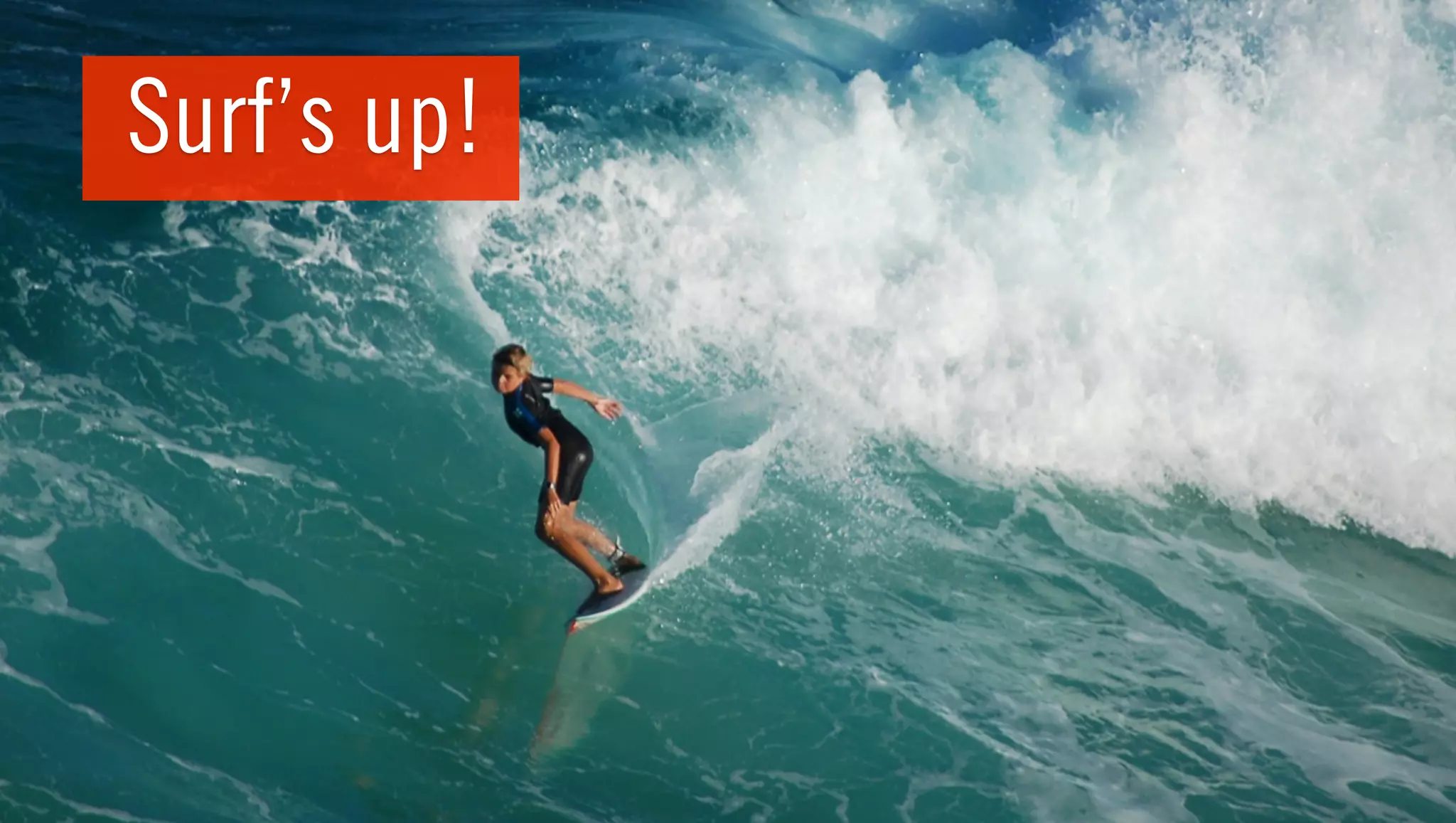 Surf’s up!
 