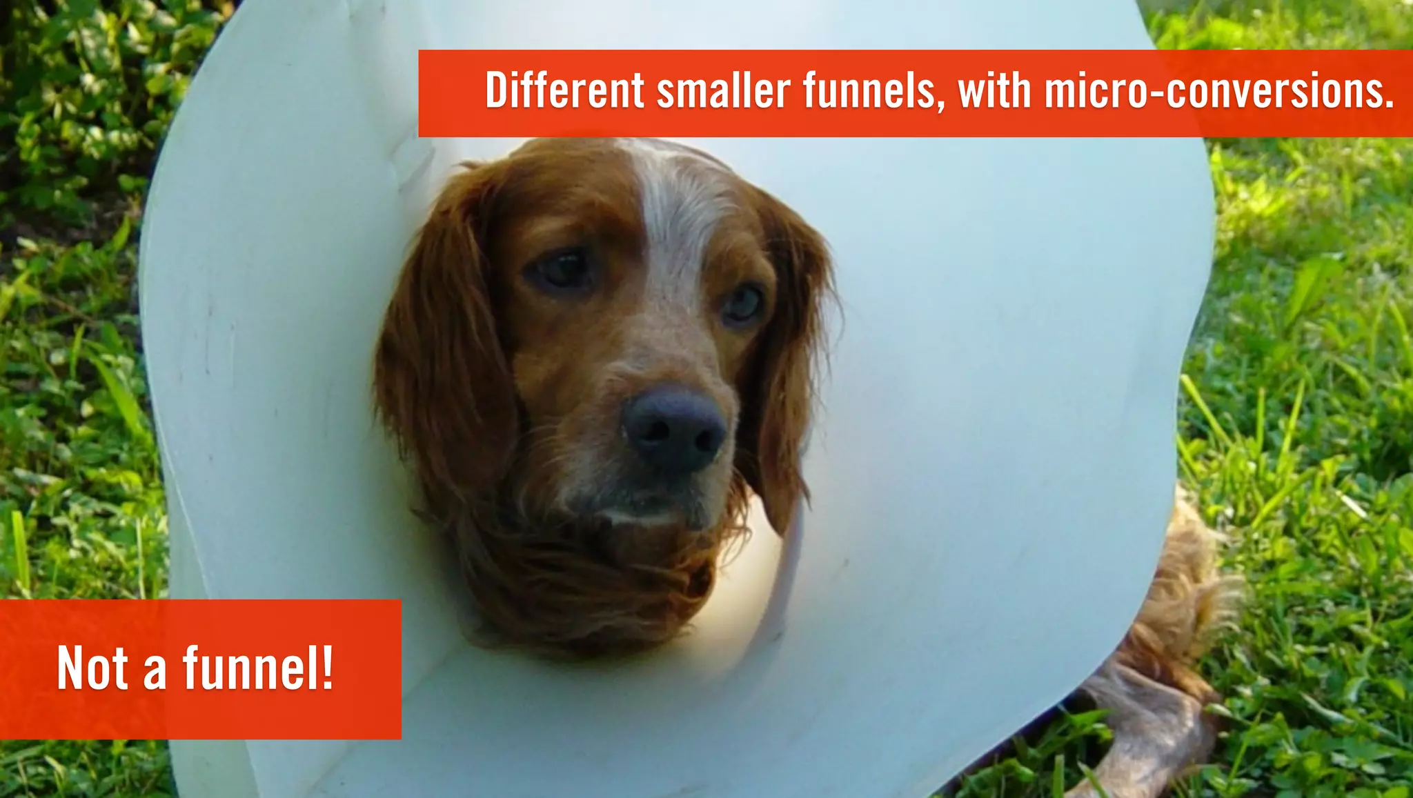 Different smaller funnels, with micro-conversions.




Not a funnel!
 