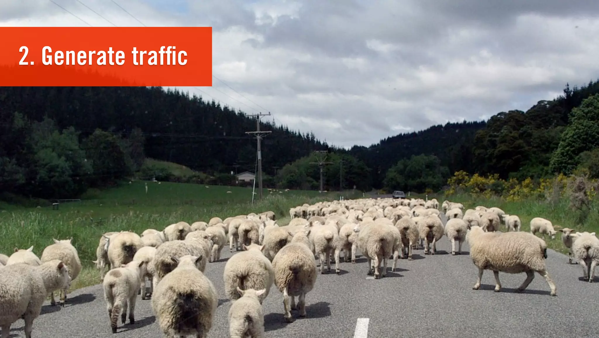 2. Generate trafﬁc
 