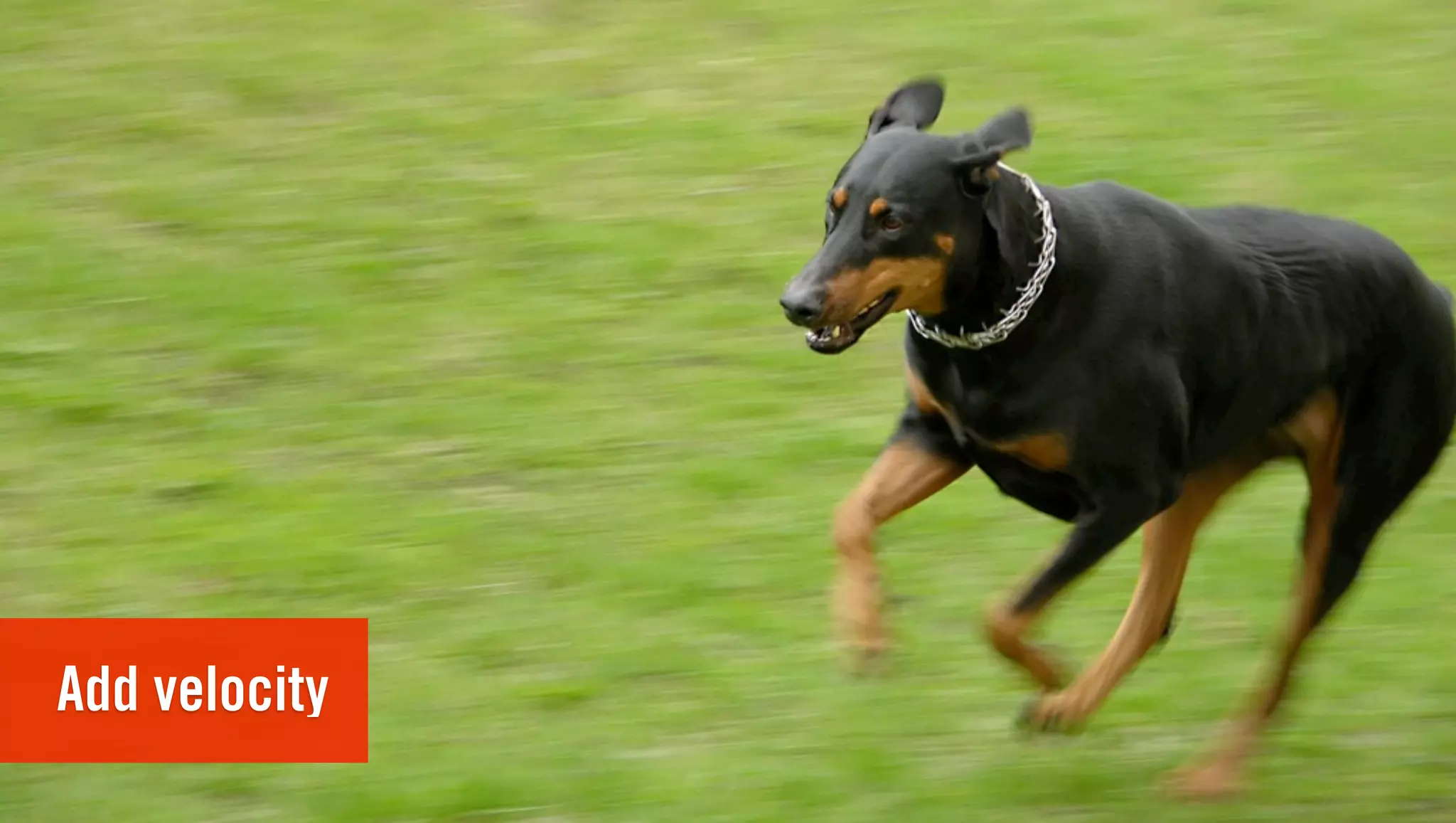 Add velocity
 