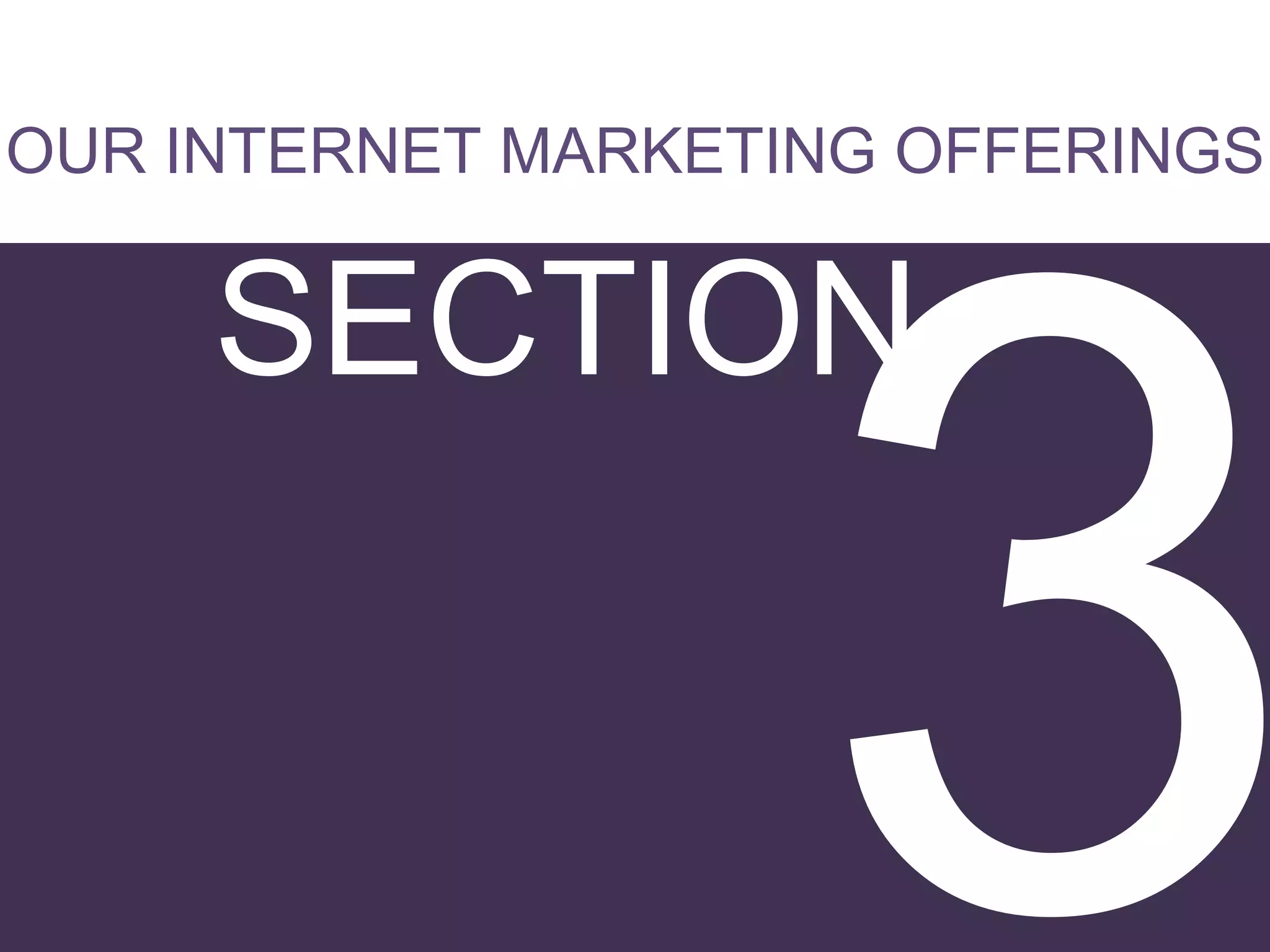 OUR INTERNET MARKETING OFFERINGS

SECTION

Page #36
Page #5

 