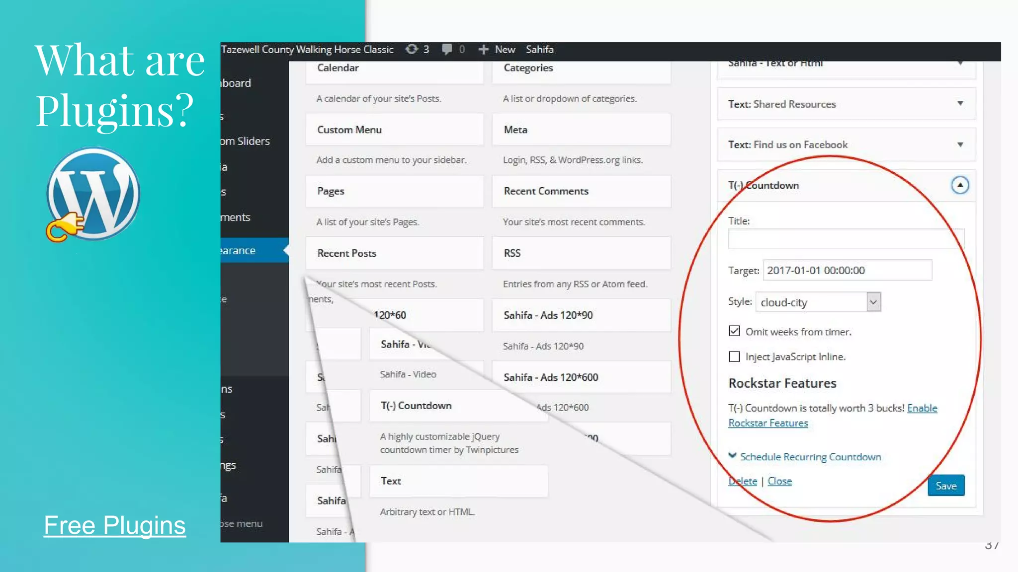 What are
Plugins?
37
Free Plugins
Using a Plugin…
 
