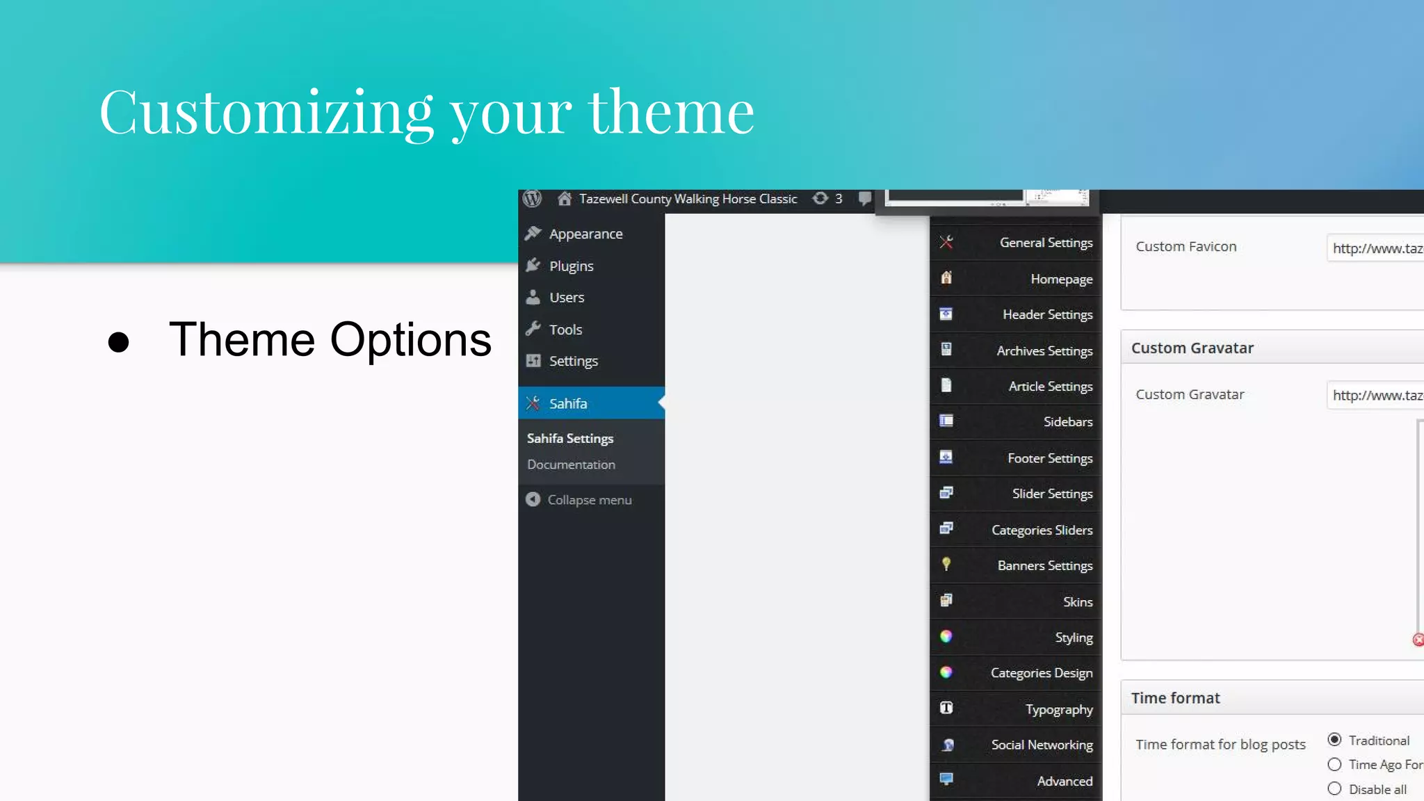 40
● Theme Options
Customizing your theme
 
