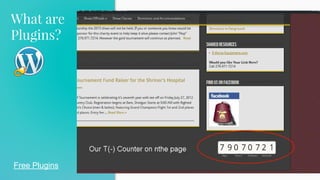 What are
Plugins?
38
Free Plugins
Using a Plugin…
● How many positive reviews does it have?
● How many times has it been installed?
 