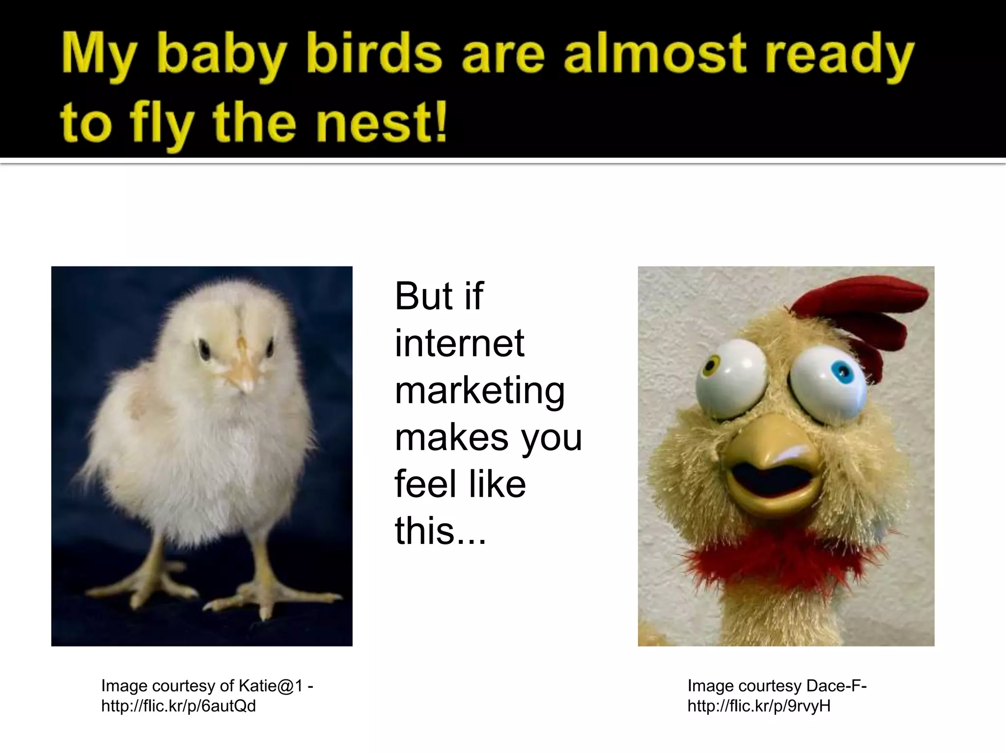 But if
                              internet
                              marketing
                              makes you
                              feel like
                              this...


Image courtesy of Katie@1 -               Image courtesy Dace-F-
http://flic.kr/p/6autQd                   http://flic.kr/p/9rvyH
 