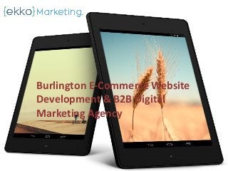 Burlington E-Commerce Website
Development & B2B Digital
Marketing Agency
 