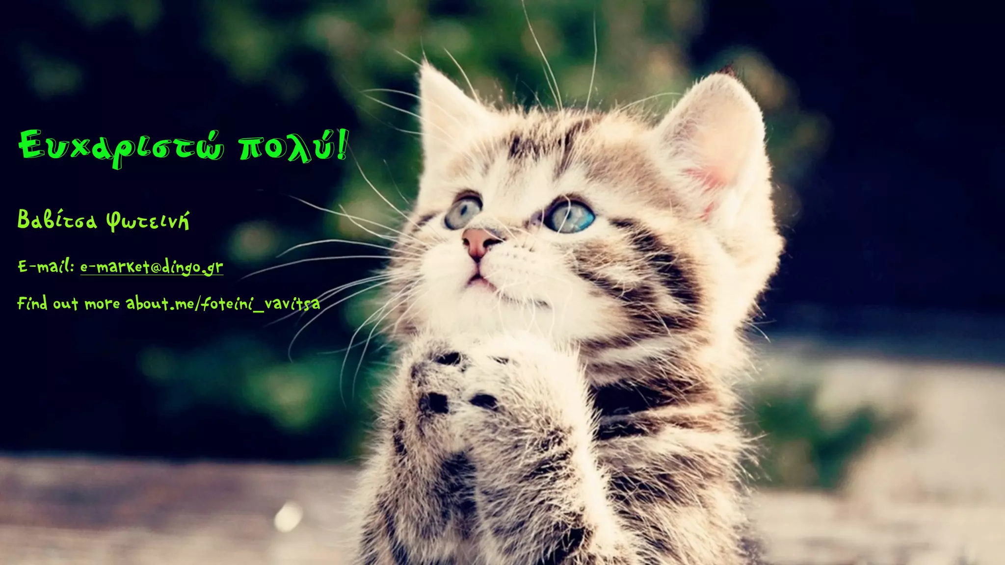 Βαβίτσα Φωτεινή
E-mail: e-market@dingo.gr
Find out more about.me/foteini_vavitsa
Ευχαριστώ πολύ!
 