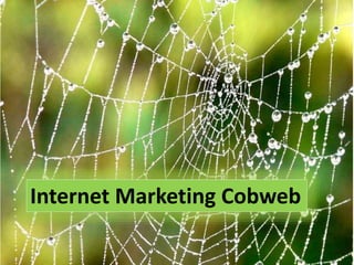Internet Marketing Cobweb
 