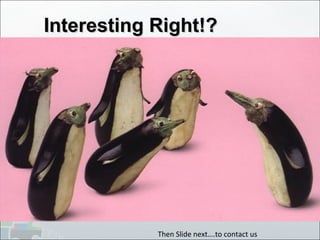 Interesting Right!?Interesting Right!?
Then Slide next….to contact us
 