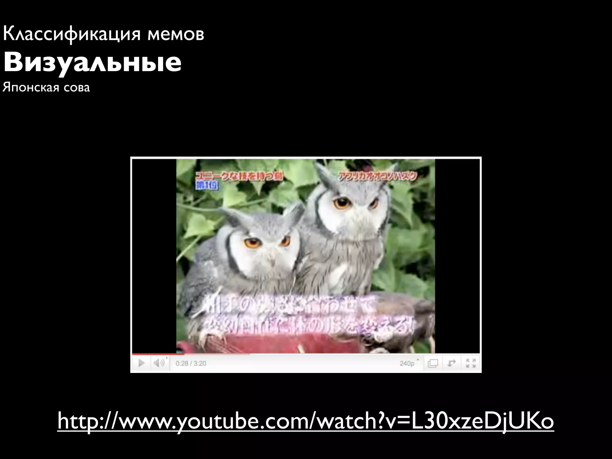 Классификация мемов
Визуальные
Японская сова




        http://www.youtube.com/watch?v=L30xzeDjUKo
 