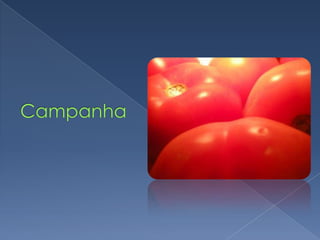 Webcampanha (pré)Criação de suas redesEmails, celulares, CEPMapeamento de ambientes webRedes sociaisRelacionamentoParticipar das redes sociaisPromover  idéiasJamais se colocar como candidatoUso de blog ou site pessoal