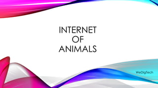 INTERNET
OF
ANIMALS
WeDigTech
 