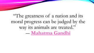 .
“The greatness of a nation and its
moral progress can be judged by the
way its animals are treated.”
― Mahatma Gandhi
 